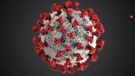 Representation of a corona virus